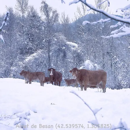 Ainet Rural Mountain * Ainet de Besan