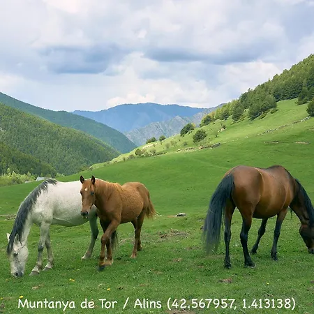 Ainet Rural Mountain Lägenhet *